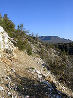 Palm Canyon Pinyon Flats Loop