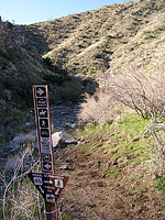 Palm Canyon Pinyon Flats Loop