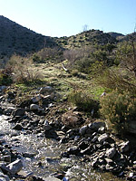 Palm Canyon Pinyon Flats Loop