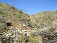 Palm Canyon Pinyon Flats Loop