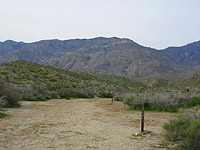 Palm Canyon