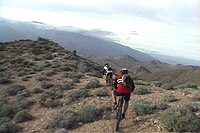 Palm Canyon Epic