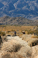 Palm Canyon Epic