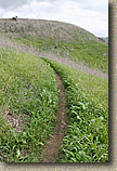 San Clemente Singletracks