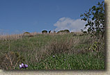 San Clemente Singletracks