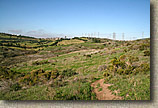 San Clemente Singletracks