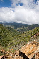 images/Trails/Trabuco/Trabuco-07MAY05-14.jpg