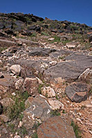 images/Trails/UT-BrokenMesa/BrokenMesa-IceHouse-9APR06-23.jpg