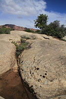 Gucamole Trail