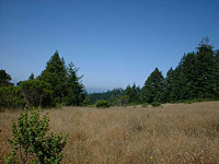 WilderRanch-23JUN02-05.jpg (75838 bytes)