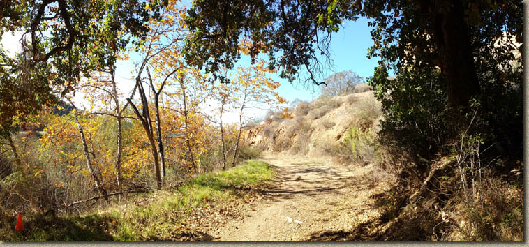 The Crestridge Ecological Reserve Area