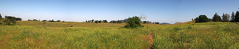 East Mesa Pan Shot