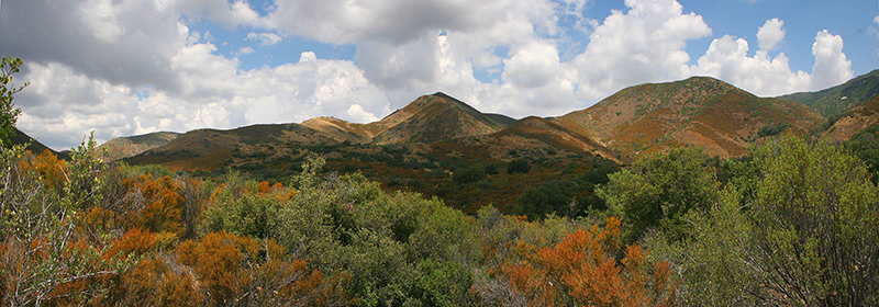 Laugna Mountains Pan