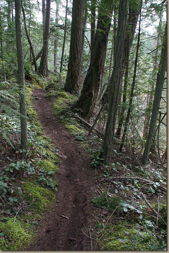 Whistle Lake Area of Anacortes