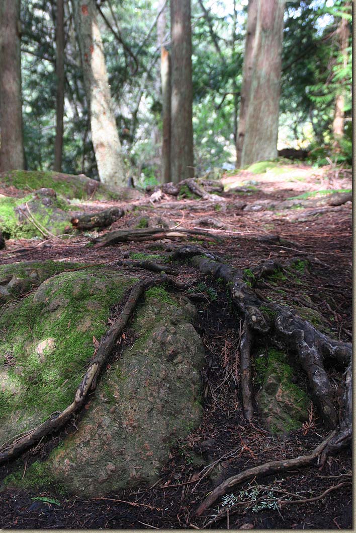 Whistle Lake Area of Anacortes