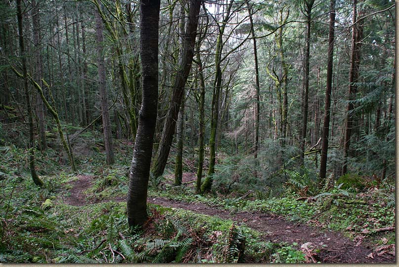 Whistle Lake Area of Anacortes