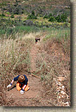 images/Trailwork/SycamoreCanyon-Trailwork-28MAY05-03.jpg