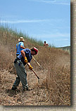 images/Trailwork/SycamoreCanyon-Trailwork-28MAY05-09.jpg