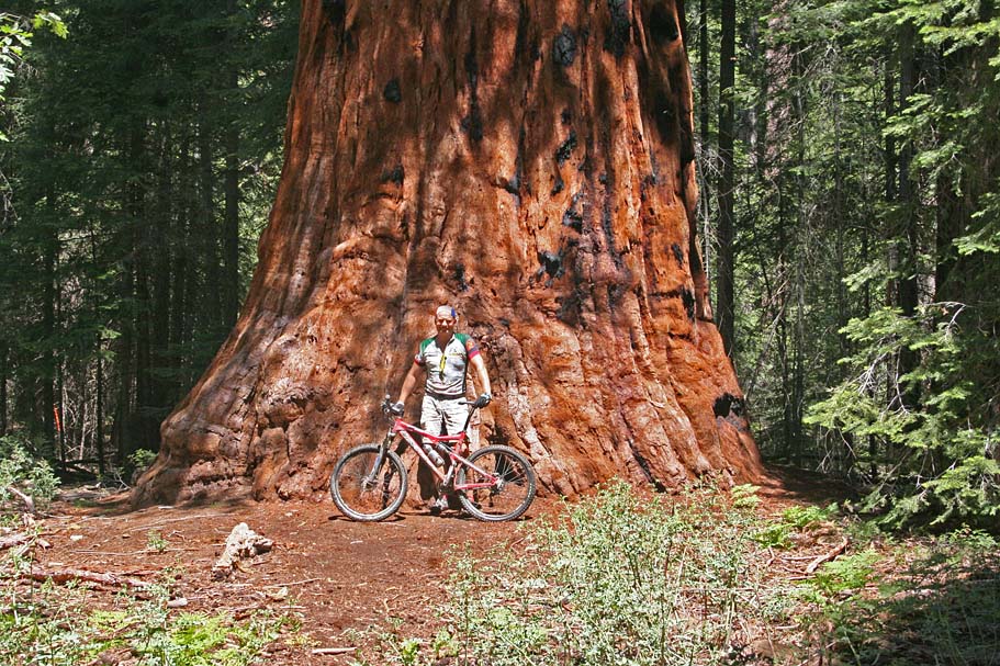 Remastered Freeman Creek video The Ramblings of MTBBill