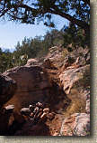 images/Trails/AZ07/AZ07-Sedona-11JAN07-05.jpg