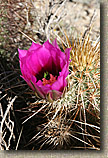 South Mountain in Phoenix AZ