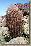 South Mountain in Phoenix AZ