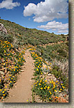 White Tanks Mountain Photos