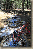 AZ 2010 - Flagstaff Part I