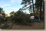 AZ 2010 - Rainbow Rim Trail