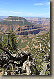 AZ 2010 - Rainbow Rim Trail