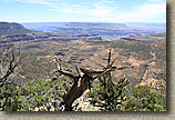 AZ 2010 - Rainbow Rim Trail