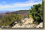 AZ 2010 - Rainbow Rim Trail