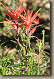 AZ 2010 - Rainbow Rim Trail