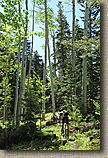 AZ 2010 - Arizona Trail