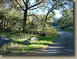 BlackMountainEpic-3FEB02-09-SantaYsabelCampground.JPG (266063 bytes)