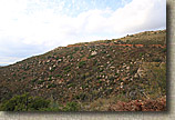 BLack Mountain Near Ramona 26NOV16