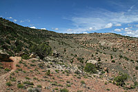 The Lunch Loops of Grand Junction