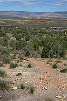 The Zion Curtain