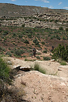 The Zion Curtain