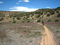 The Zion Curtain -- Photo by Bill O'Neil