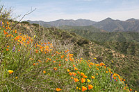 Caspers Wilderness Park