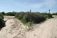 Caspers Wilderness Park