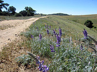 Coast To Crest Trail