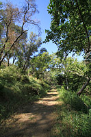 Coast To Crest Trail