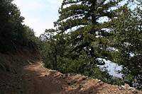 images/Trails/CondorPeak/CondorPeak-07APR07-32.jpg