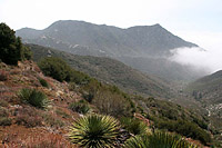 images/Trails/CondorPeak/CondorPeak-07APR07-42.jpg