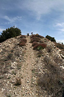 images/Trails/CondorPeak/CondorPeak-07APR07-49.jpg