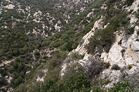 images/Trails/CondorPeak/CondorPeak-07APR07-65.jpg