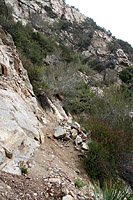 images/Trails/CondorPeak/CondorPeak-07APR07-67.jpg