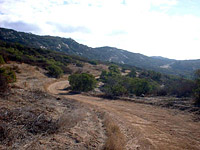 DaleyRanch-11NOV01-08-CougarRidge-2.jpg (115591 bytes)